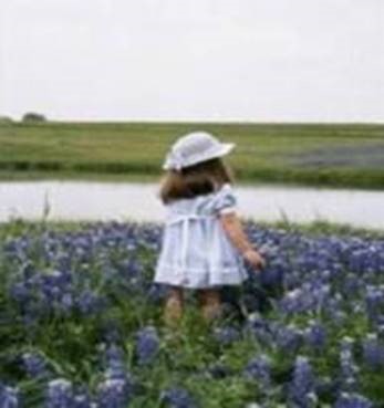 Photo of a meadow