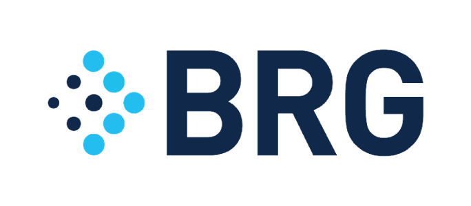 Relativity Partner - Berkeley Research Group (BRG)