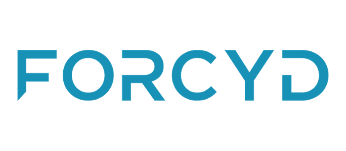 Relativity Partner - Forcyd