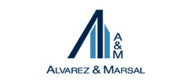 Alvarez and Marsal - Relativity Partner